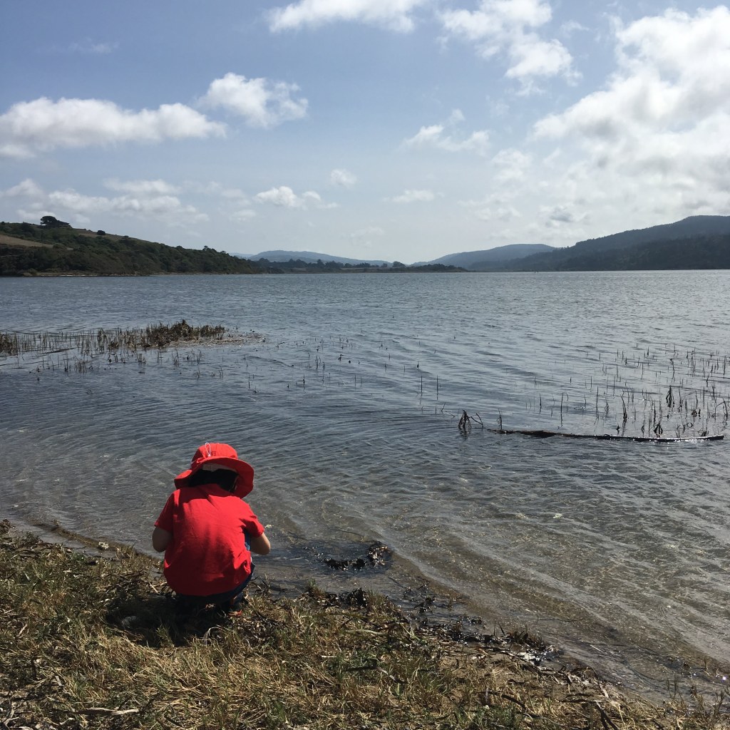 Young child in red sun hat and red tee squats at the edge of Tomales Bay